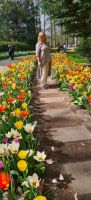 Keukenhof