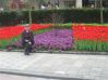 W HEERLEN