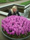 Keukenhof