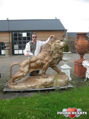 marek196521