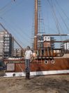 krolik26