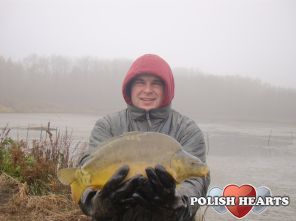 grudzień 2012