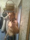 Adibb