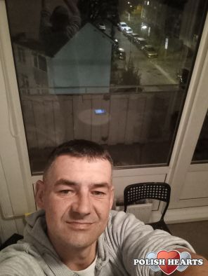 Bolo333