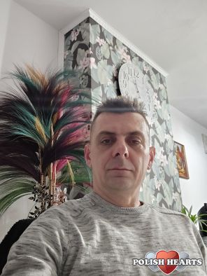 fikus3000