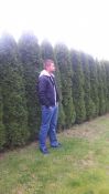 pawii_92