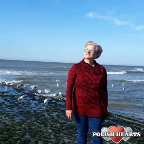 Plaża w Callantsoog